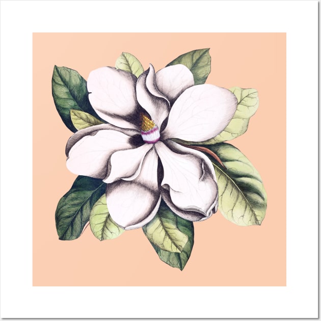 Magnolia Flower Wall Art by CatyArte